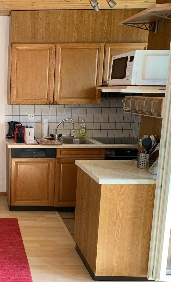 Appartement Panorama At Haus Waldheim Nr. 11 à Grächen Extérieur photo